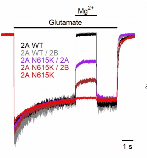 Figure3upper