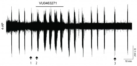Field potential recordings