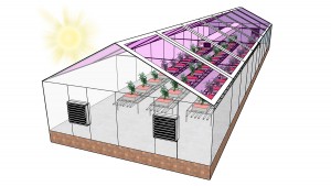 greenhouse greenhouse