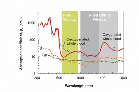 InGaAs Cameras Enable Advanced Imaging in Scientific Research - Novus ...
