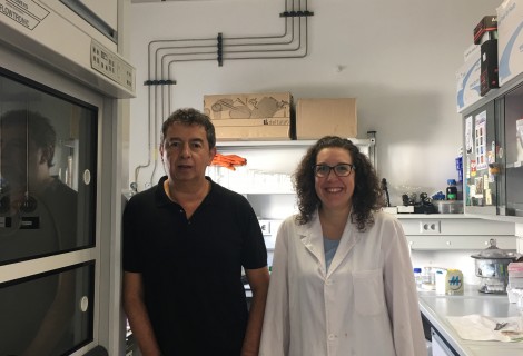 University of Granada researchers Jos&iuml;&iquest;&frac12;&iuml;&iquest;&frac12;&iuml;&iquest;&frac12;&iuml;&iquest;&frac12;&iuml;&iquest;&frac12;&iuml;&iquest;&frac12;&Acirc;&copy; Manuel Dominguez Vera and Ana Gonzalez