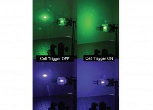 Liquid crystals sandwiched between two1-inch squares of glass scatter green and blue light on a wall when the cells are triggered by laser illumination right panels Credit Daniel Maurer Liquid crystals sandwiched between two1-inch squares of glass scatter green and blue light on a wall when the cells are triggered by laser illumination right panels Credit Daniel Maurer