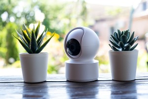 opportunities in security and surveillance