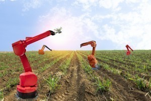 AI in agriculture AI in agriculture