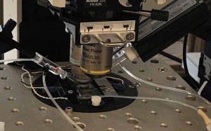 Accommodating 4 electrodes with 4-axis control Accommodating 4 electrodes with 4-axis control