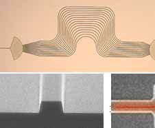 Some of the photonic components made by imec spectrometer, fiber waveguide, waveguide and multimode interferometer Some of the photonic components made by imec spectrometer, fiber waveguide, waveguide and multimode interferometer