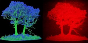 Image based on lidar data left, converted to a hologram right