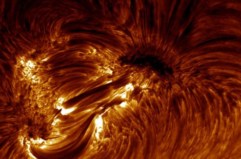 Magnetic field lines are most visible in H-alpha images
