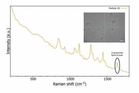 Microplastics figure 5