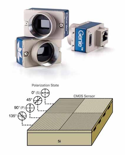 Teledyne Dalsa polarized