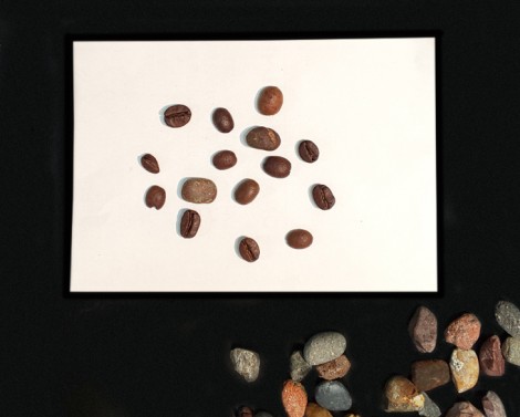 rocks