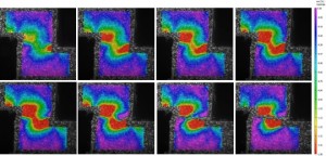 Specialised Imaging Specialised Imaging