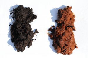 dirt dirt