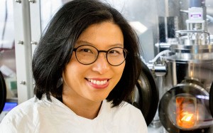 Research leader Professor Anita Ho-Baillie in the lab Photo with thanks to UNSW