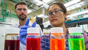 NREL scientists Joey Luther and Erin Sanehira are part of a team that has helped NREL set an efficiency record of 134 for a quantum dot solar cell NREL scientists Joey Luther and Erin Sanehira are part of a team that has helped NREL set an efficiency record of 134 for a quantum dot solar cell