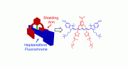 Wiley-VCH, CreditAngewandte Chemie