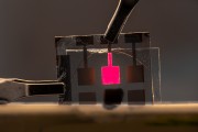 Perovskite NIR LED With Record External Quantum Efficiency