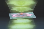This artistic representation of the ADRIFT-QPI technique shows pulses of sculpted light green, top traveling through a cell center, and exiting bottom where changes in the light waves can be analyzed and converted into a more detailed images-graphicscojp,