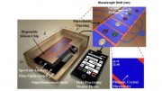 A sample optical detection platform for rapid COVID-19 diagnosis CREDIT Asghari et al