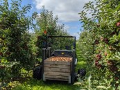 The Aurora harvest assistant will navigate through the rows of trees in an apple orchard and detect and pick up fruit boxes and transport them to a defined unloading point autonomously in future Image courtesy of hochschule 21