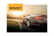 Continental and machine vision
