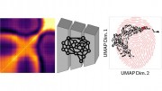 The AI-NERD model learns to produce a unique fingerprint for each sample of XPCS data Mapping fingerprints from a large experimental dataset enables the identification of trends and repeating patterns which aids our understanding of how materials evolve C