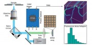 A newly developed compact ISM microscope equipped with a single photon avalanche diode SPAD array detector provides high-resolution structural and functional imaging CREDIT A Zunino ITT