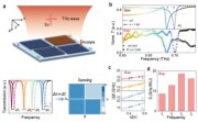 A novel parallelized terahertz THz single-pixel imaging approach replaces slow sequential compressed sensing by using a pixelated metasurface that operates efficiently within a standard THz time-domain spectroscopy system The researchers report that this 