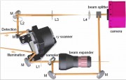 BitFlow frame grabber in use