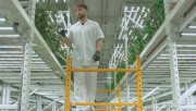 Cannabis lighting