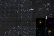 AI and microscopy